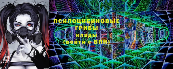 спиды Алексеевка