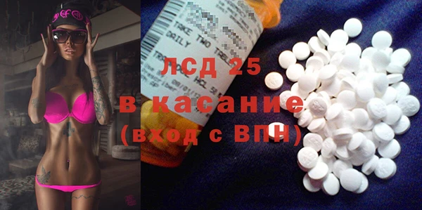 ПСИЛОЦИБИНОВЫЕ ГРИБЫ Алексин